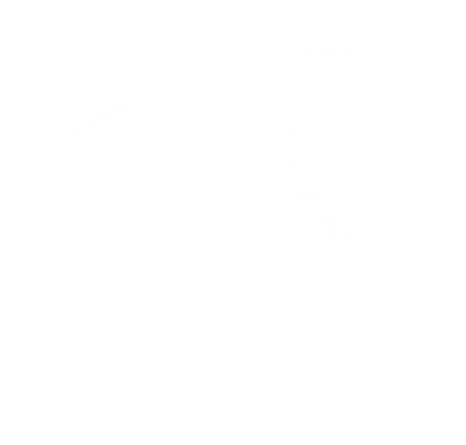 Dịch vụ chụp ảnh & quay phim nội thất, nhà hàng, khách sạn, căn hộ