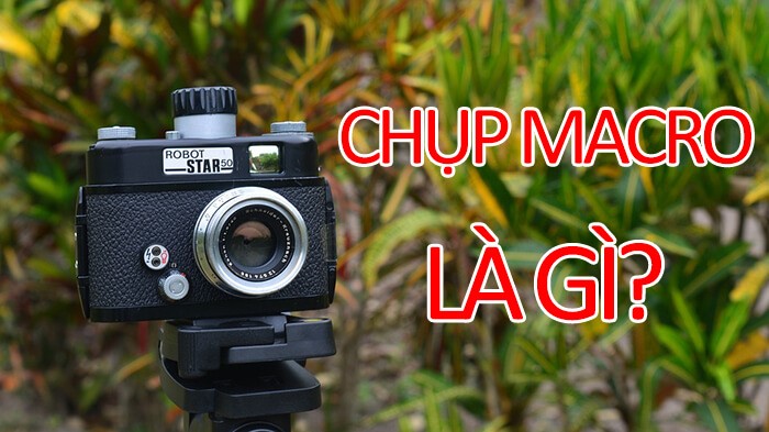 Chụp macro là gì? Những lưu ý khi chụp macro sản phẩm